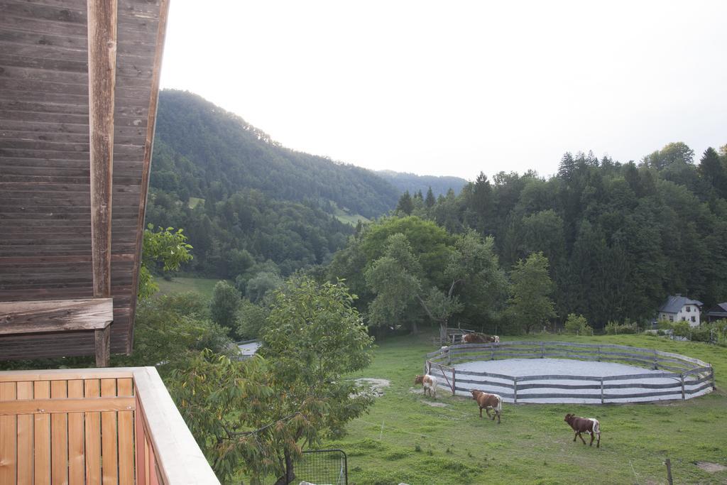 Gorenja Vas  Apartments Pri Bostjanovcu מראה חיצוני תמונה